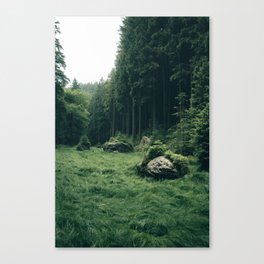 Meadow in a Forest Landscape Photography Canvas Print