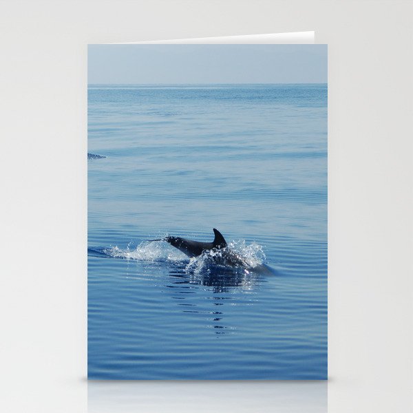 Dolphin3 Stationery Cards