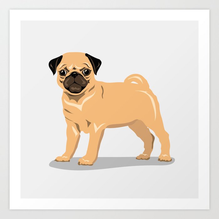 Kaiser dog store discount