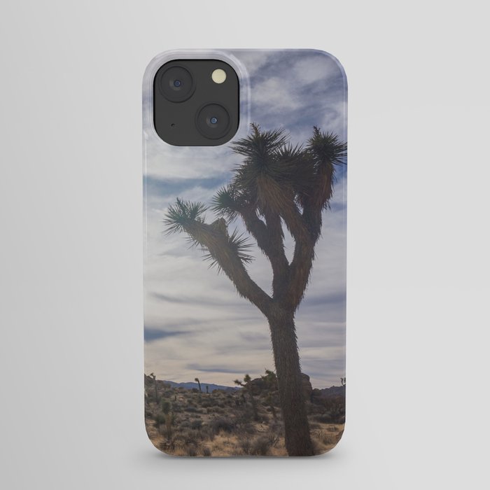 DESERT A iPhone Case