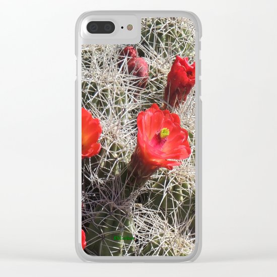 A Hedgehog Cactus Looks Sunward Clear iPhone Case