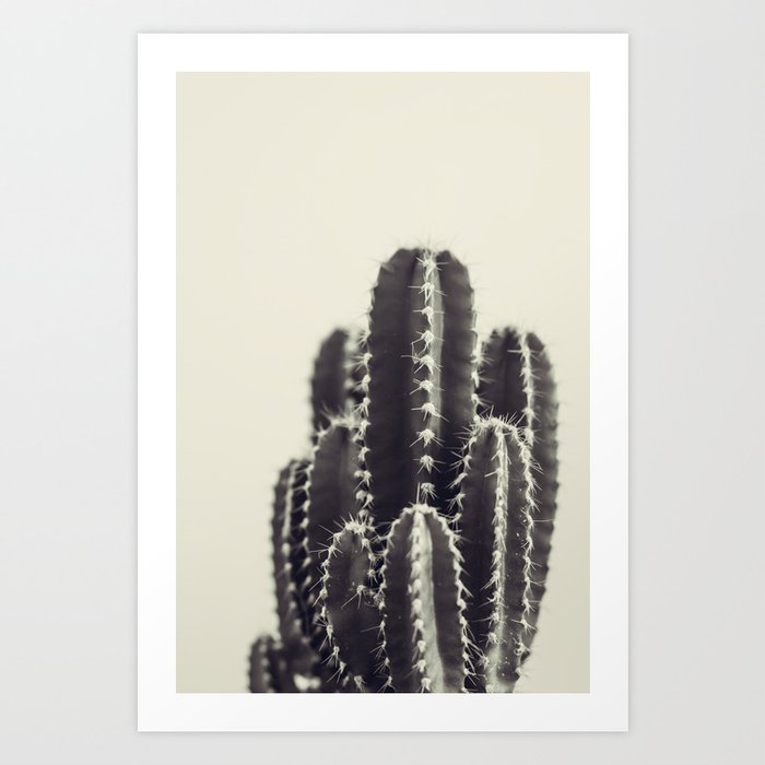 Vintage Cactus #1 Art Print