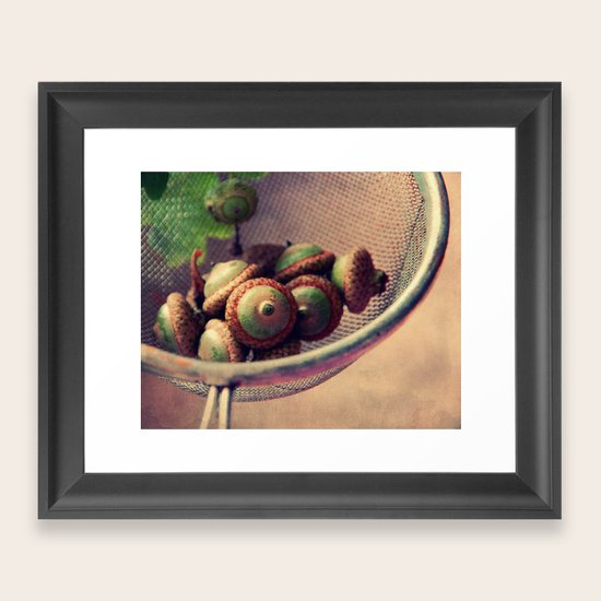 acorns Framed Art Print