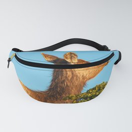 Looking up Fanny Pack