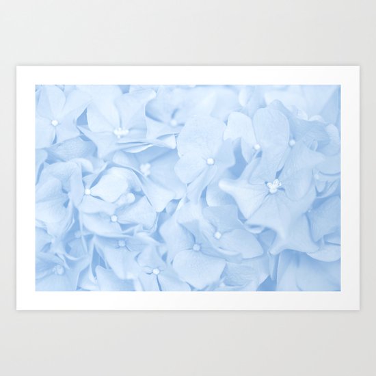 Pastel Blue Flowers Art Print