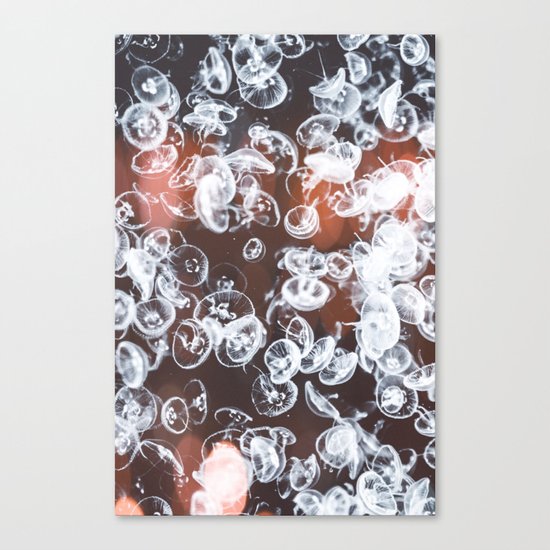 Electric Jelly fish Canvas Print