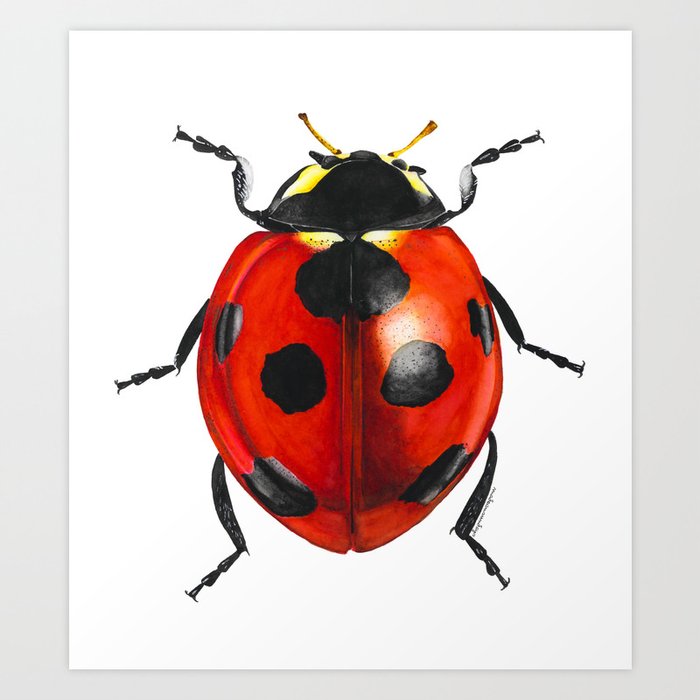 Ladybug! Art Print