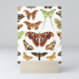 Moths Mini Art Print