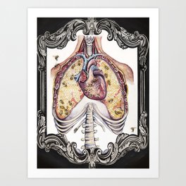The Bee's Reverie - Anatomical Heart + Lungs Art Print