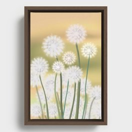 Dandelions in the morning sun Framed Canvas