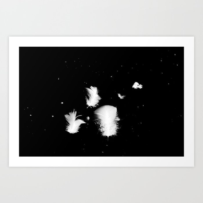Goose feathers floating Art Print