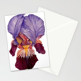 Bearded Iris II Stationery Cards