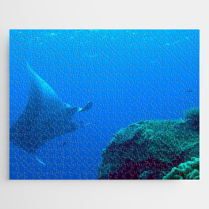 Manta ray veering away from the reef Jigsaw Puzzle