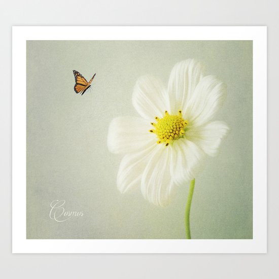 Cosmos Art Print