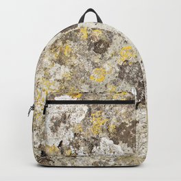 Lichen on The Rollright Stones Backpack
