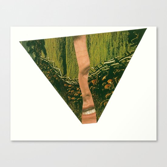 stampede Canvas Print