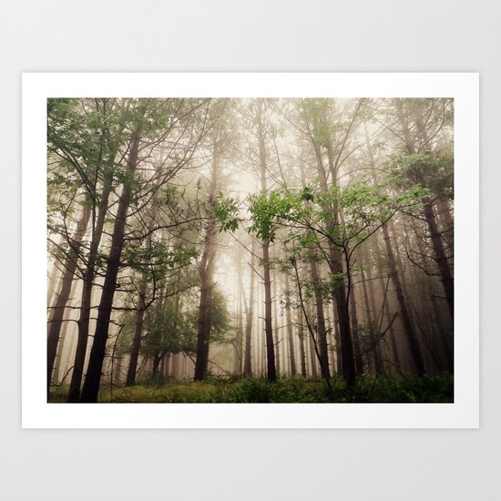 Wanderer Art Print