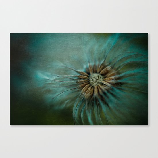 elvesdream Canvas Print