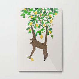 Monkey on lemon tree Metal Print | Curated, Lemon, Animal, Monkey, Natural, Floral, Tropical, Nature, Fauna, Sunny 