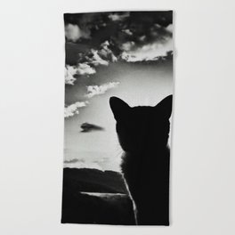 cat view Beach Towel