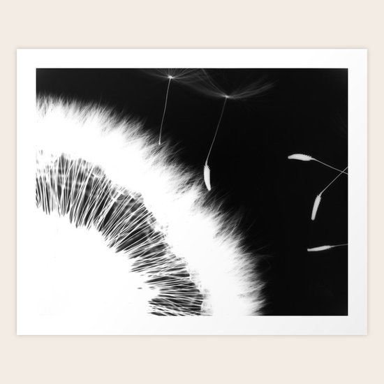 Intruder II Art Print