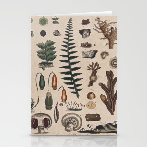 Botany Chart Stationery Cards by Blue Specs Studio Society6