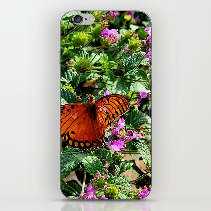 Vibrant Butterfly iPhone Skin