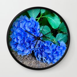 Blue Hydrangeas Wall Clock