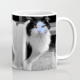 cat spotted coat walk thick Coffee Mug