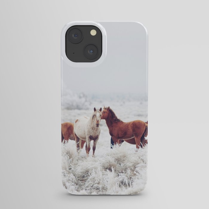 Winter Horseland iPhone Case