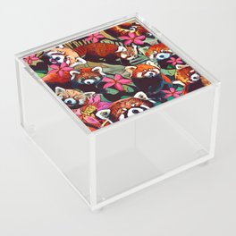 Red Panda  Acrylic Box