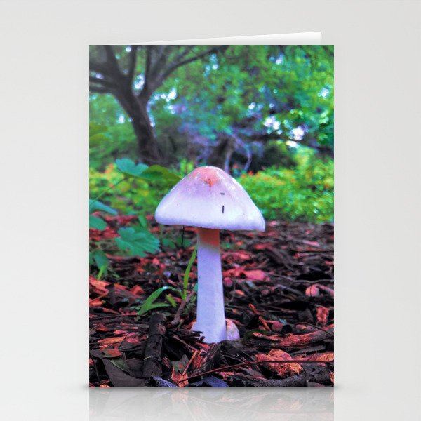 Mushroom Bright Light Stationery Cards