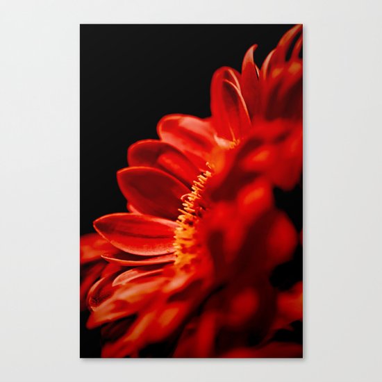 Red Flower Canvas Print