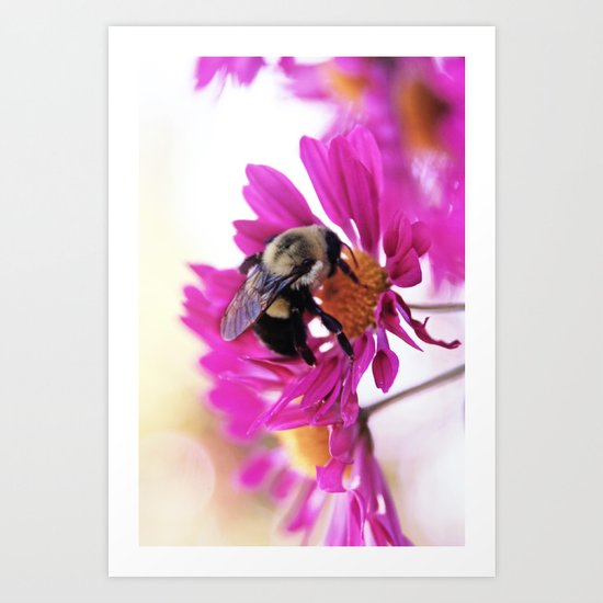 Queen Bee Art Print