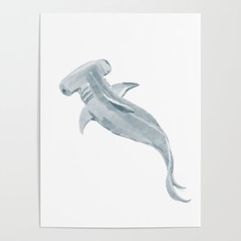 Chubby Hammerhead Shark Poster
