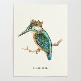 Kingfisher Vintage Poster