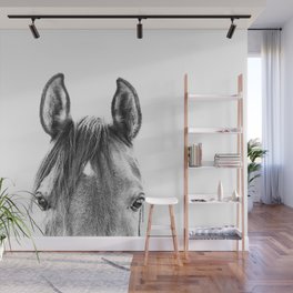 peekaboo horse, bw horse print, horse photo, equestrian print, equestrian photo, equestrian decor Wall Mural