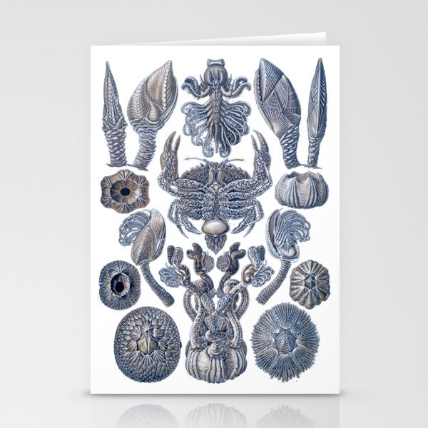 Ernst Haeckel Blue Sky Crab Cirripedia Stationery Cards
