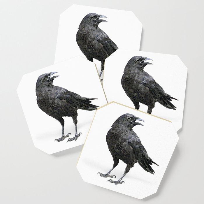 Black Crow Coaster