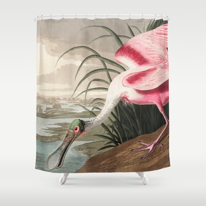 Roseate Spoonbill from Birds of America (1827) by John James Audubon Shower Curtain