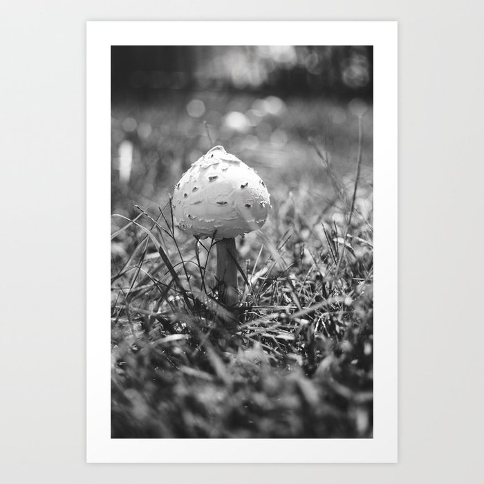 Lonely Mushroom Art Print