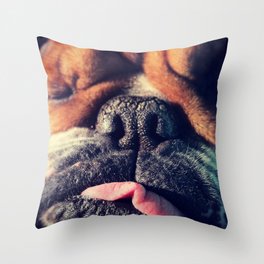 Dog Sleep Throw Pillow