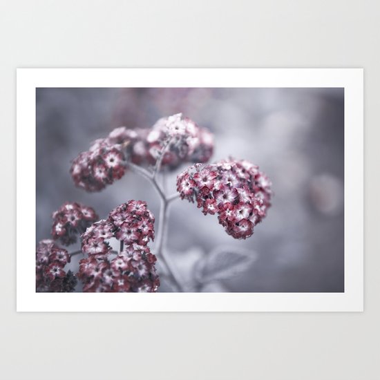 selfless, cold and composed Art Print