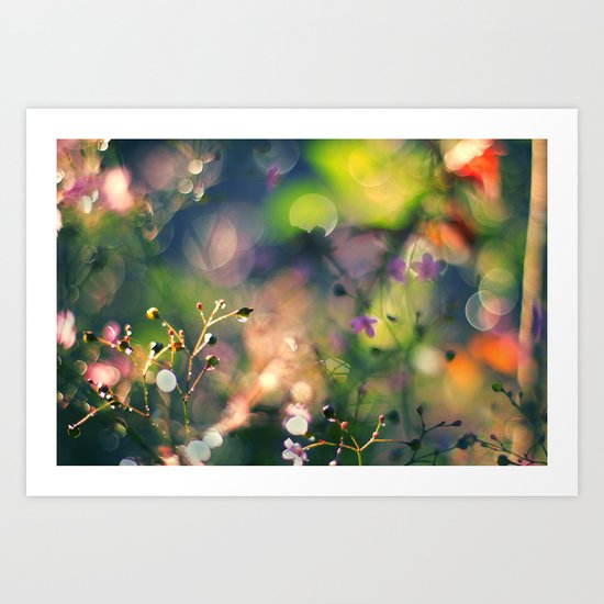 The Rainbow Forest I Art Print