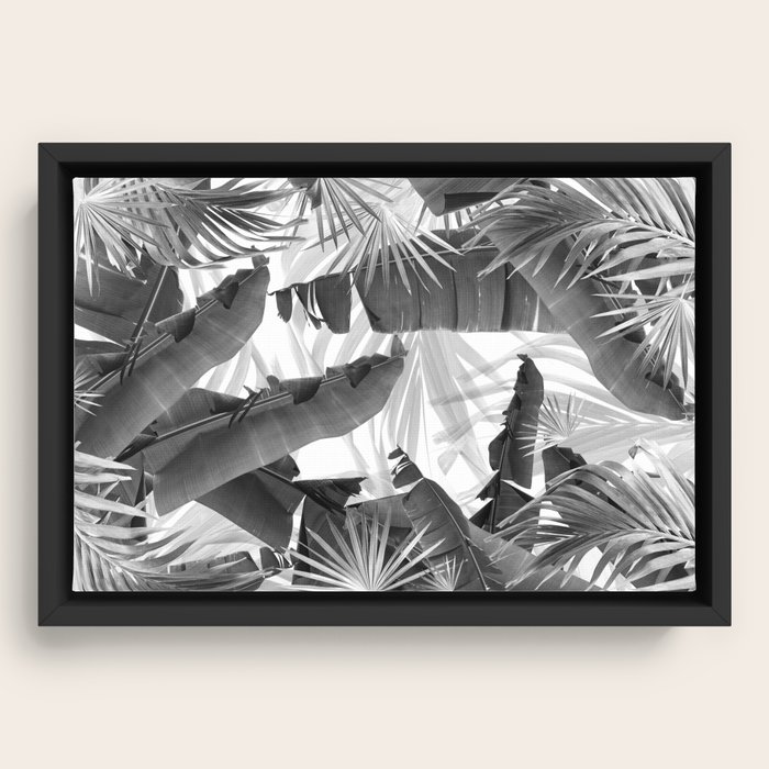 Framed Canvas