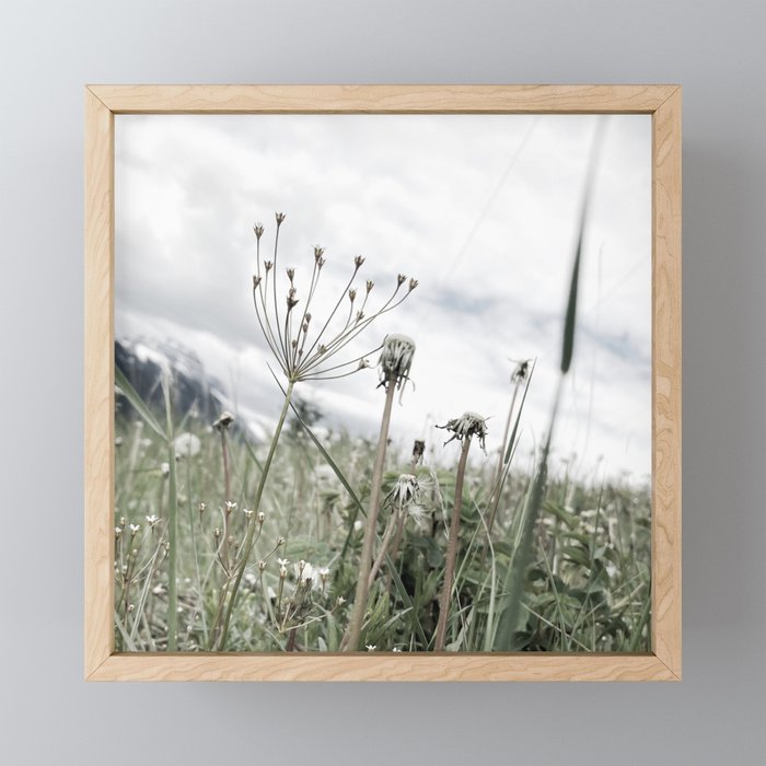 Mountain Wildflowers Framed Mini Art Print