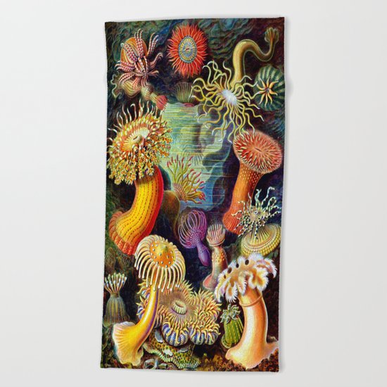 Under the Sea : Sea Anemones (Actiniae) by Ernst Haeckel Beach Towel