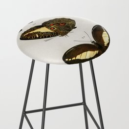 Different Types of Butterfly Bar Stool