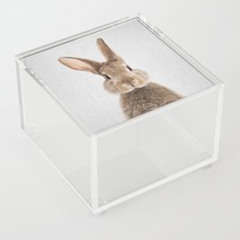 Rabbit - Colorful Acrylic Box