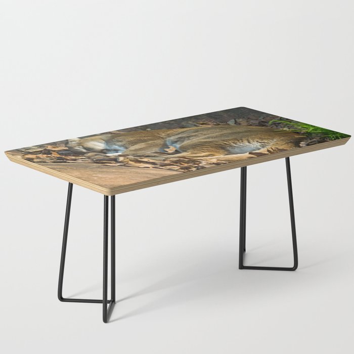 Sleeping Mountain Lion Coffee Table By Scotthervieux Society6 - Mountain Lion Coffee Table Sleeping Mountain Lion Coffee Table By Scotthervieux Society6 - Mountain Lion Coffee Table